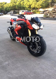 China BMW -2 Racing Street Sport Motorcycles , Street Racer Bicycle Electric + Kick Start supplier