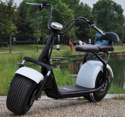 China Fat Tire Electric Motorcycles And Scooters 2 Wheel Citycoco Scooter For Adult supplier