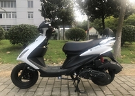 Gas Motor Scooter