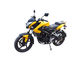 250cc Water Cooling Engine Automatic Street Bike Motorcycle Aluminum Wheel LCD Screen supplier