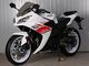 Gas Motor  Street Sport Motorcycles , 250cc Cool Sport Bikes / Street Bikes White Color supplier